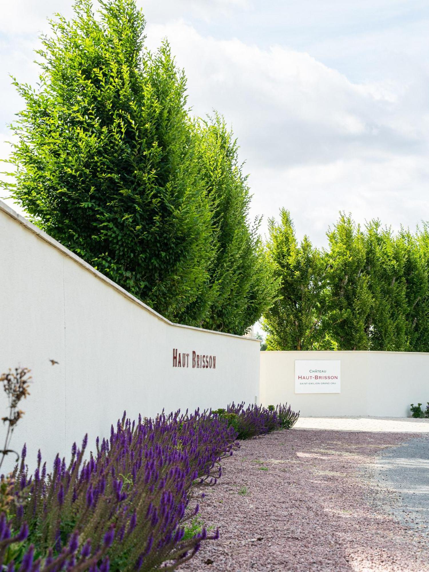 Chateau Haut-Brisson Vignonet Bagian luar foto